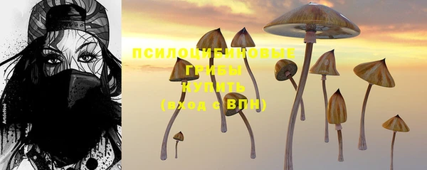мяу мяу мука Белоозёрский