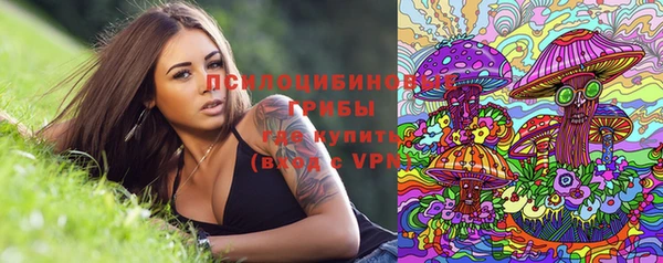 mix Белокуриха