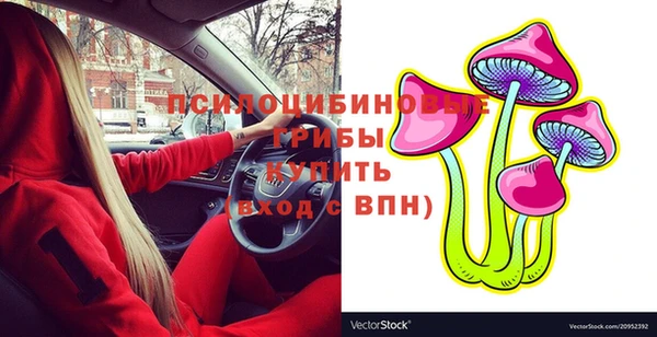 mix Белокуриха